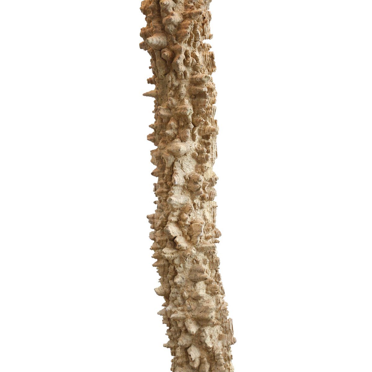Stehleuchte Treibholz Natur/Weiß 150 cm – Bild 10