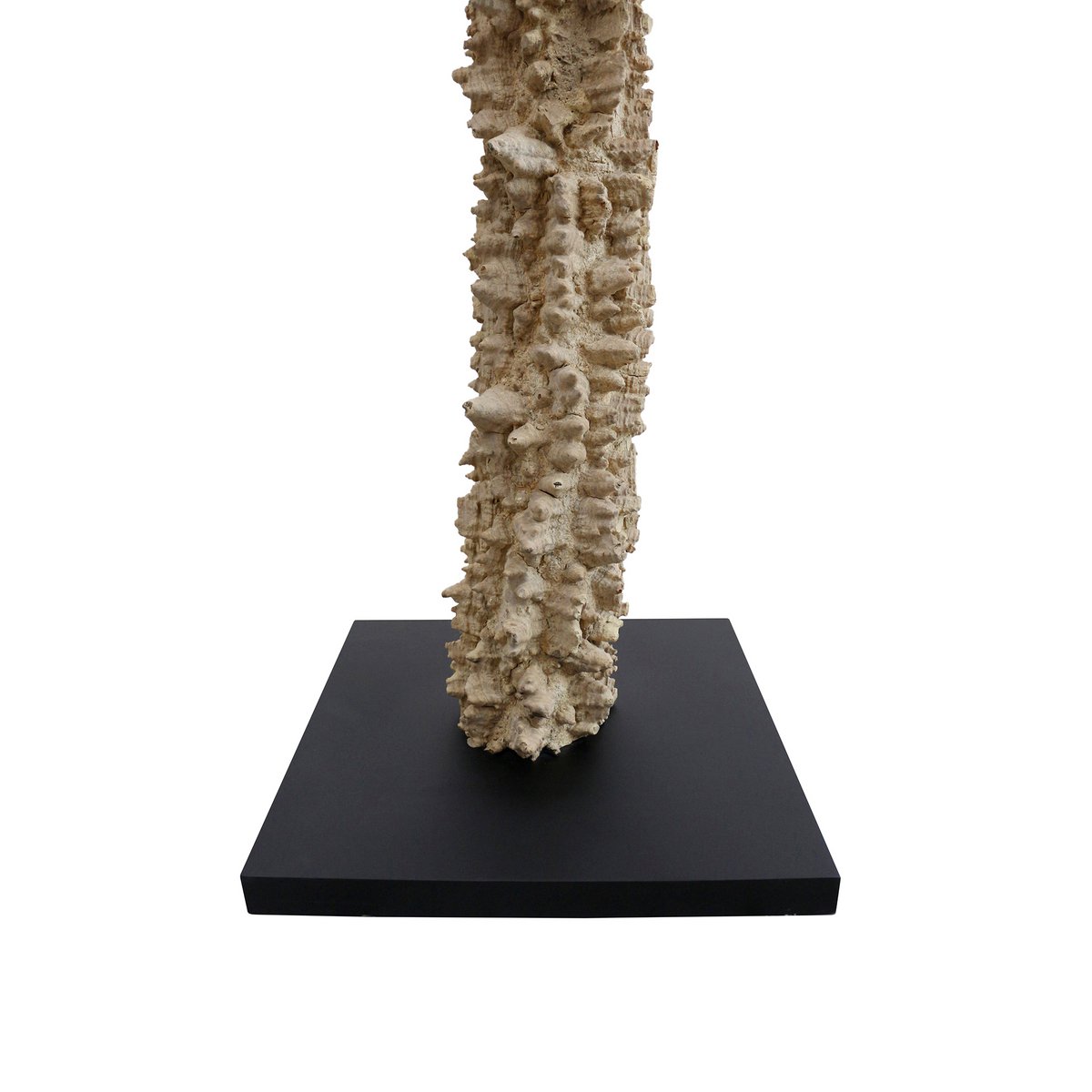Stehleuchte Treibholz Natur/Weiß 150 cm – Bild 11